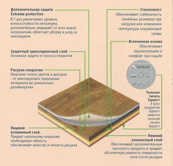 Составляющие линолейма