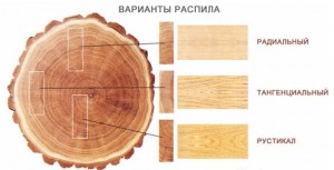 kak-vybrat-massivnuyu-dosku-1