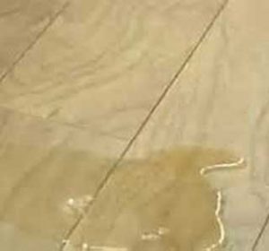 воздействие воды на ламинат